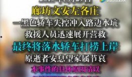 文安爆料视频大全最新,热点事件背后的真相与反思